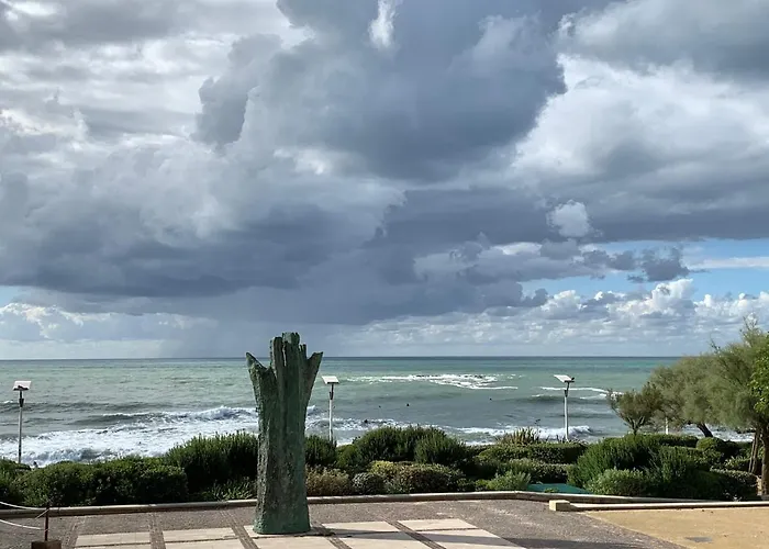 Surfin Essaye Biarritz